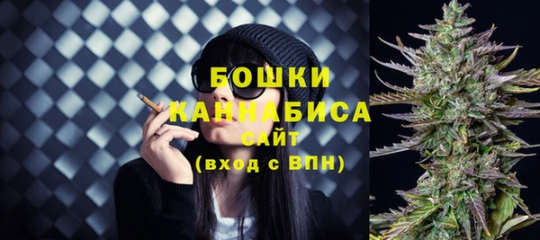 сатива Надым