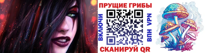 Псилоцибиновые грибы мицелий  Купить  Энгельс 